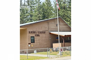 Wallace Mountain Road - Photo 7