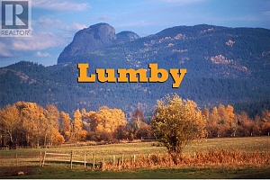 910 Lumby Mabel Lake Road - Photo 61