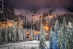 910 Lumby Mabel Lake Road - Photo 65