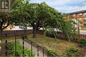 2805 39 Avenue - Photo 32