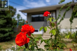 2805 39 Avenue - Photo 37