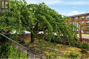2805 39 Avenue - Photo 4