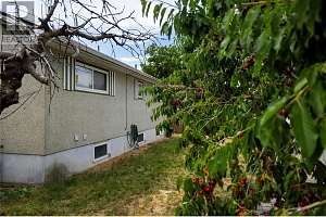 2805 39 Avenue - Photo 8