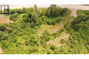 1477 Enderby Mabel Lake Road - Photo 12