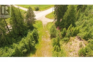 1477 Enderby Mabel Lake Road - Photo 14
