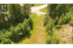 1477 Enderby Mabel Lake Road - Photo 18