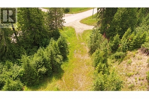 1477 Enderby Mabel Lake Road - Photo 19