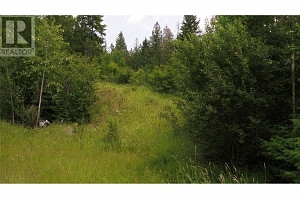 1477 Enderby Mabel Lake Road - Photo 24