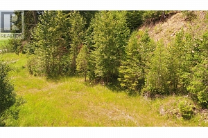 1477 Enderby Mabel Lake Road - Photo 28