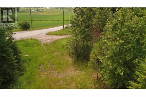 1477 Enderby Mabel Lake Road - Photo 3