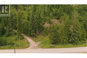 1477 Enderby Mabel Lake Road - Photo 4