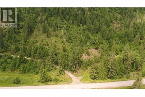 1477 Enderby Mabel Lake Road - Photo 5