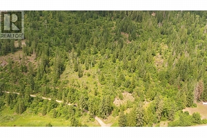 1477 Enderby Mabel Lake Road - Photo 7
