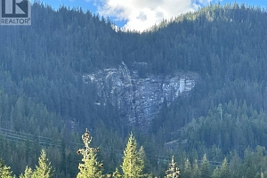 2202 Enderby Mabel Lake Road Unit# 127 - Photo 10