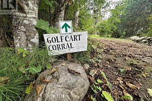 2202 Enderby Mabel Lake Road Unit# 127 - Photo 49