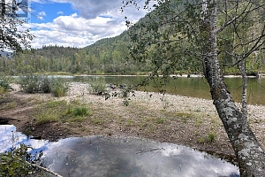 2202 Enderby Mabel Lake Road Unit# 127 - Photo 90