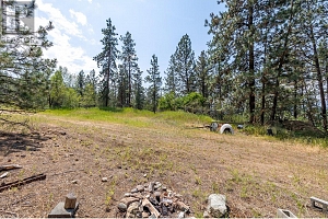 6051 Postill Lake Road - Photo 61