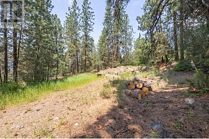 6051 Postill Lake Road - Photo 64