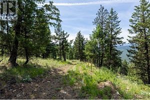 355 Solomon Road Lot# 11B - Photo 12