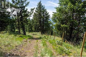 355 Solomon Road Lot# 11B - Photo 14