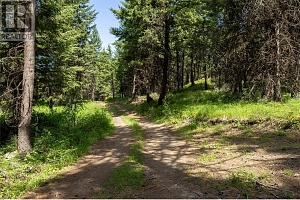 355 Solomon Road Lot# 11B - Photo 21