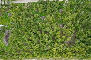 119 Timberlane Road - Photo 3