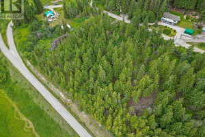 119 Timberlane Road - Photo 4