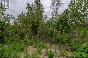 125 Timberlane Road - Photo 12