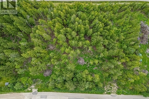 125 Timberlane Road - Photo 8