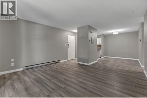 735 Cook Road Unit# 207C - Photo 11