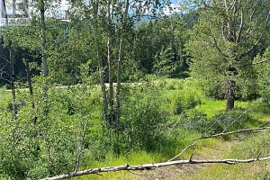 5325 Highway 33 Highway - Photo 36