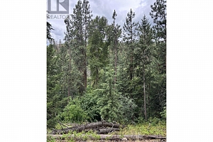 Glencoe Road Lot# 64 - Photo 2