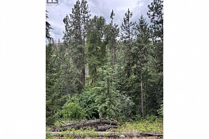 Glencoe Road Lot# 64 - Photo 2