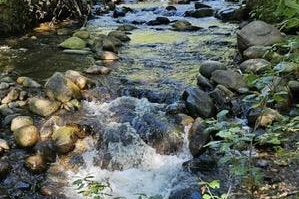 Glencoe Road Lot# 64 - Photo 3