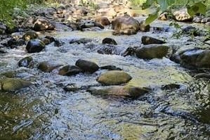 Glencoe Road Lot# 64 - Photo 4