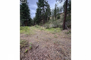 Glencoe Road Lot# 64 - Photo 5