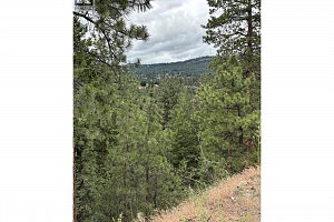 Glencoe Road Lot# 64 - Photo 8