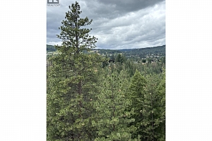 Glencoe Road Lot# 64 - Photo 9