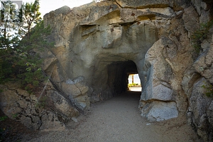 9845 Eastside Road Unit# 125 & 126 - Photo 88