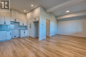 1066 Emslie Street - Photo 55