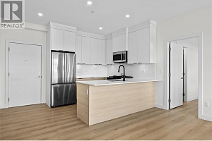 5300 Main Street Unit# 203 - Photo 4