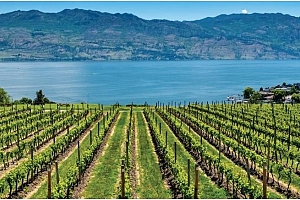 2750 Olalla Road Unit# 303 - Photo 36