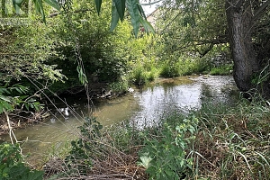 3710-3712 24 Avenue - Photo 65