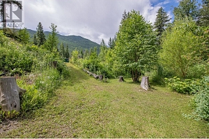 40 Rosoman Road - Photo 55