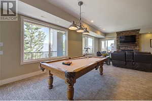 3357 Hihannah View - Photo 49