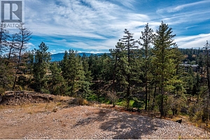 152 Wildsong Crescent - Photo 17