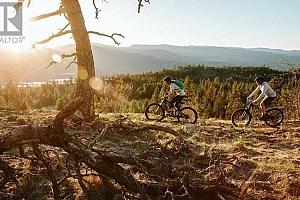 152 Wildsong Crescent - Photo 46