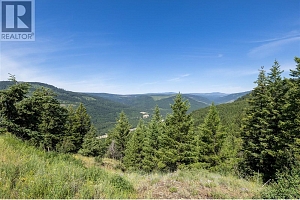 335 Solomon Road Lot# 9B - Photo 17