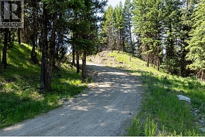 335 Solomon Road Lot# 9B - Photo 21