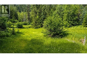 00 Richlands Road - Photo 17